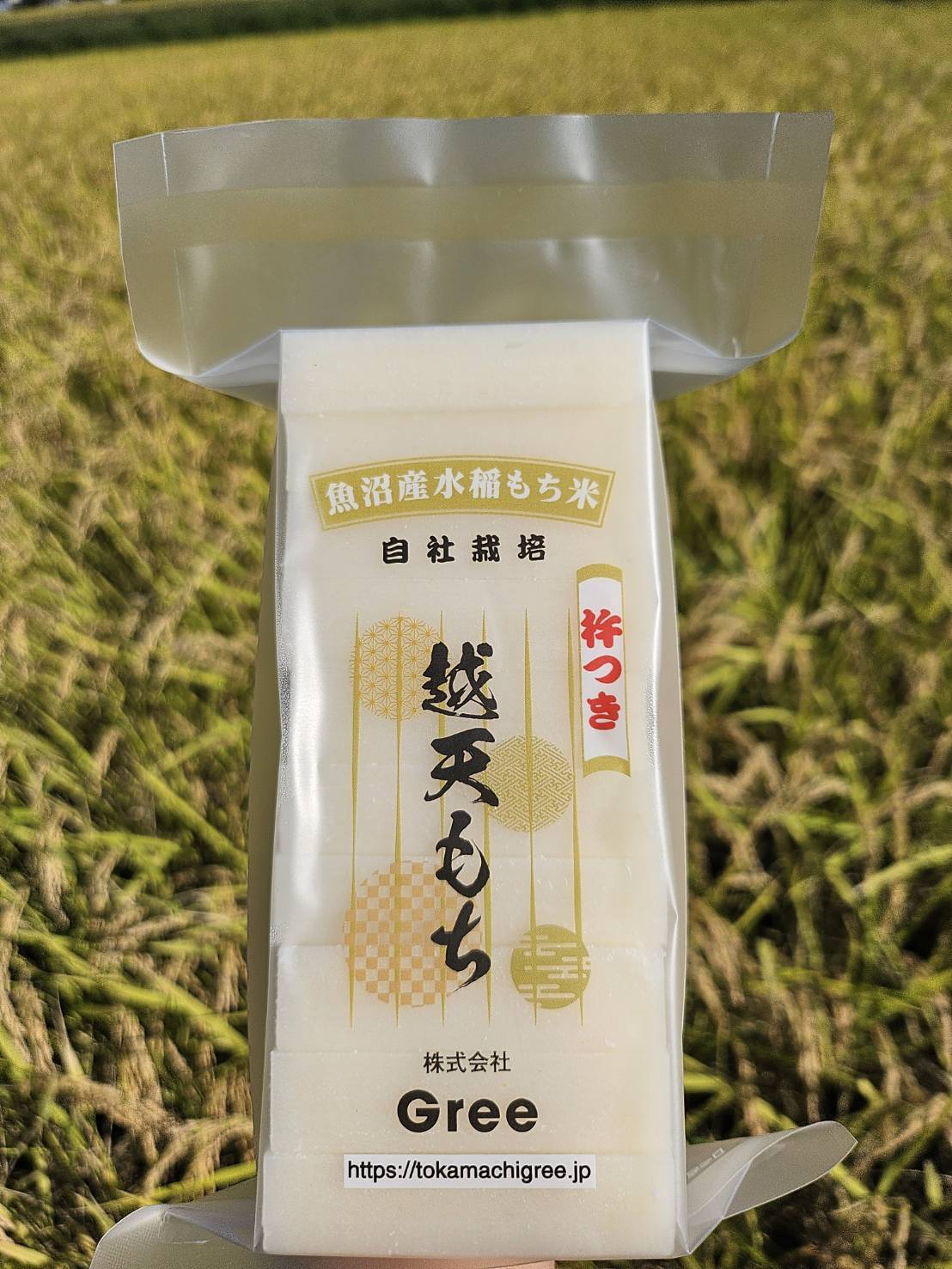 越天もち