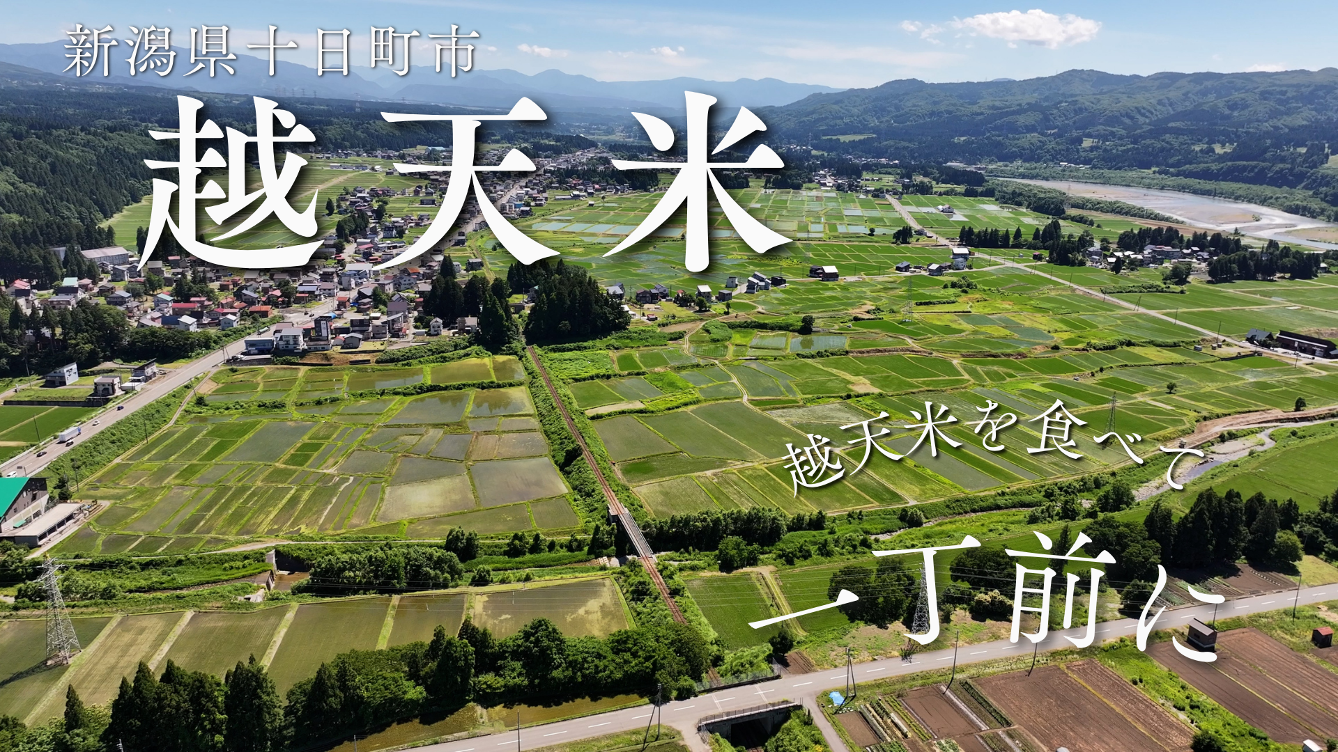 動画を読み込む: 